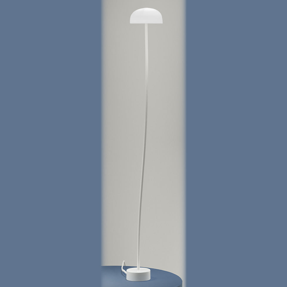 Curve Floor lamp - Small &amp; Large | everything. color choice